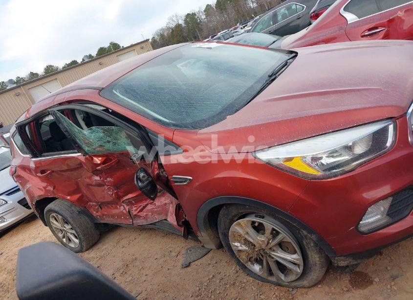 Photo 13 of 2019 Ford Escape SE (VIN 1FMCU0GD0KUA91370)