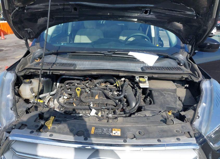 Photo 10 of 2019 Ford Escape SE (VIN 1FMCU0GD0KUB28188)