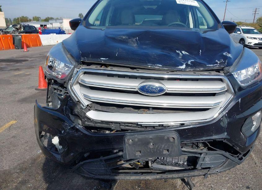 Photo 6 of 2019 Ford Escape SE (VIN 1FMCU0GD0KUB28188)
