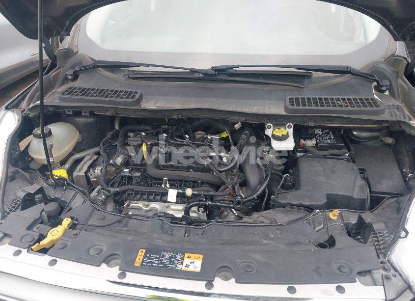 Photo 10 of 2019 Ford Escape SE (VIN 1FMCU0GD0KUB32385)