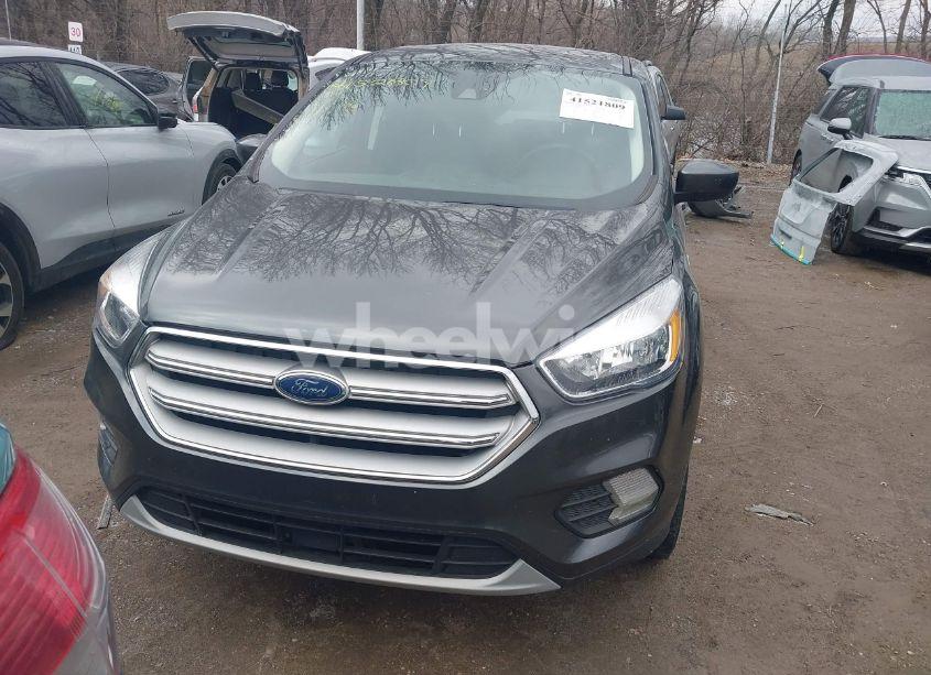 Photo 12 of 2019 Ford Escape SE (VIN 1FMCU0GD0KUB32385)