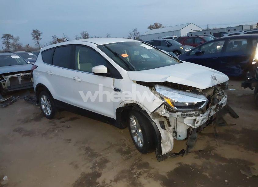 2019 Ford Escape SE (VIN 1FMCU0GD0KUB52846) main photo