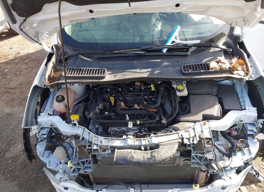 Photo 10 of 2019 Ford Escape SE (VIN 1FMCU0GD0KUB65046)