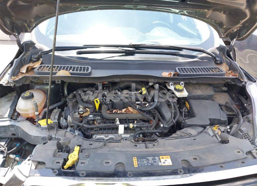 Photo 10 of 2019 Ford Escape SE (VIN 1FMCU0GD0KUB74569)