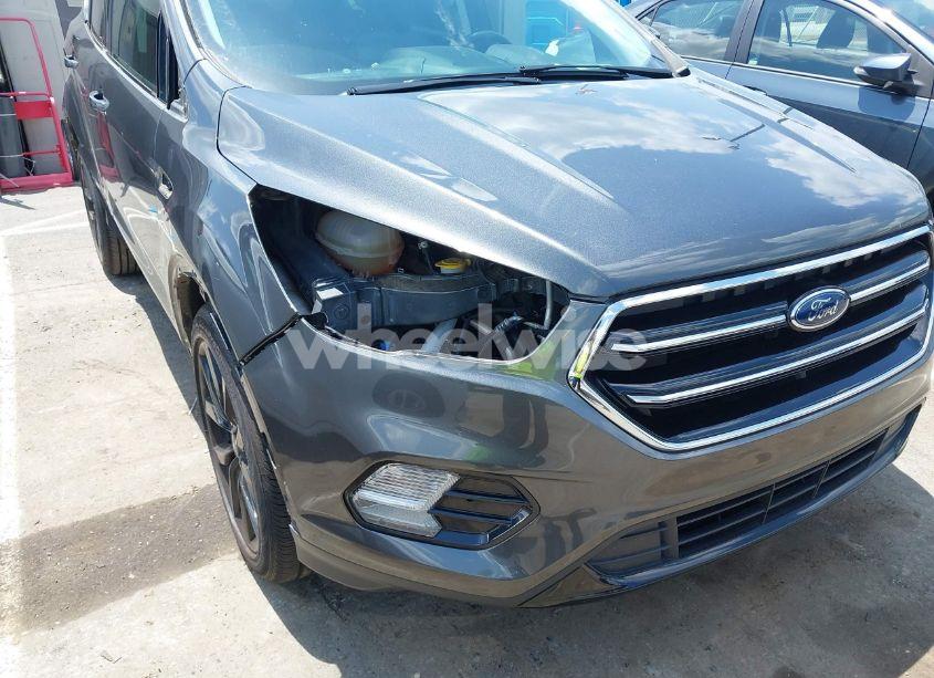 Photo 21 of 2019 Ford Escape SE (VIN 1FMCU0GD0KUB74569)