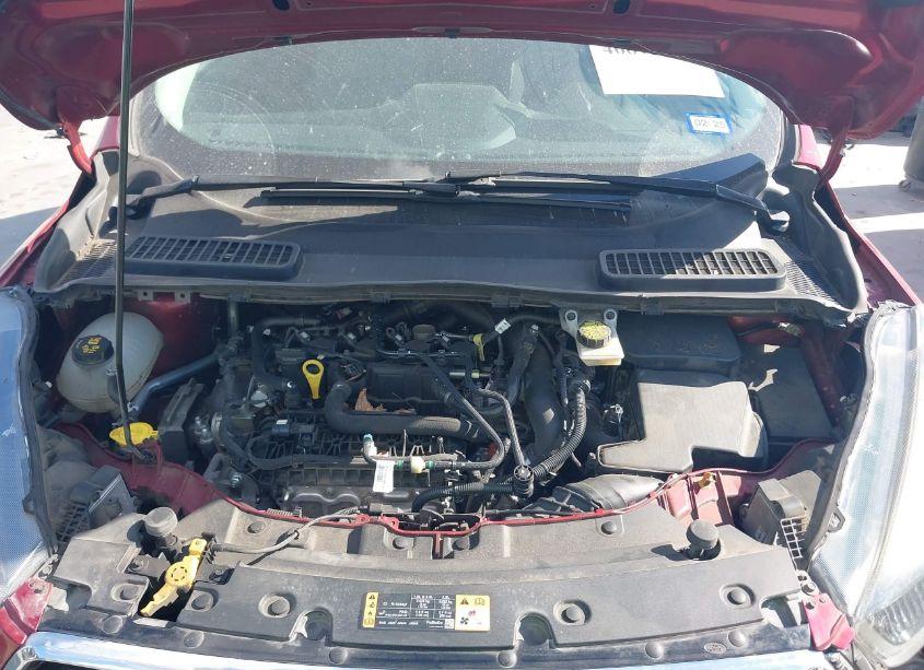 Photo 10 of 2019 Ford Escape SE (VIN 1FMCU0GD0KUC02466)