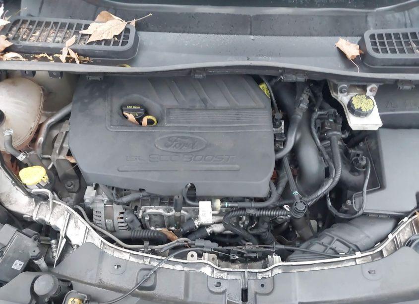 Photo 10 of 2017 Ford Escape SE (VIN 1FMCU0GD1HUC86922)