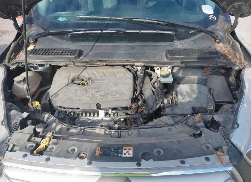 Photo 10 of 2018 Ford Escape SE (VIN 1FMCU0GD1JUB43037)