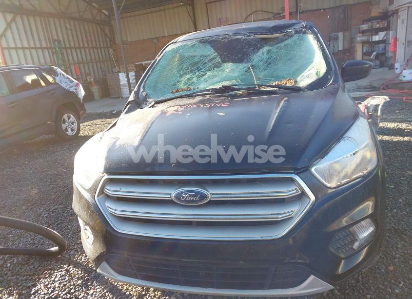 Photo 12 of 2019 Ford Escape SE (VIN 1FMCU0GD1KUA07539)