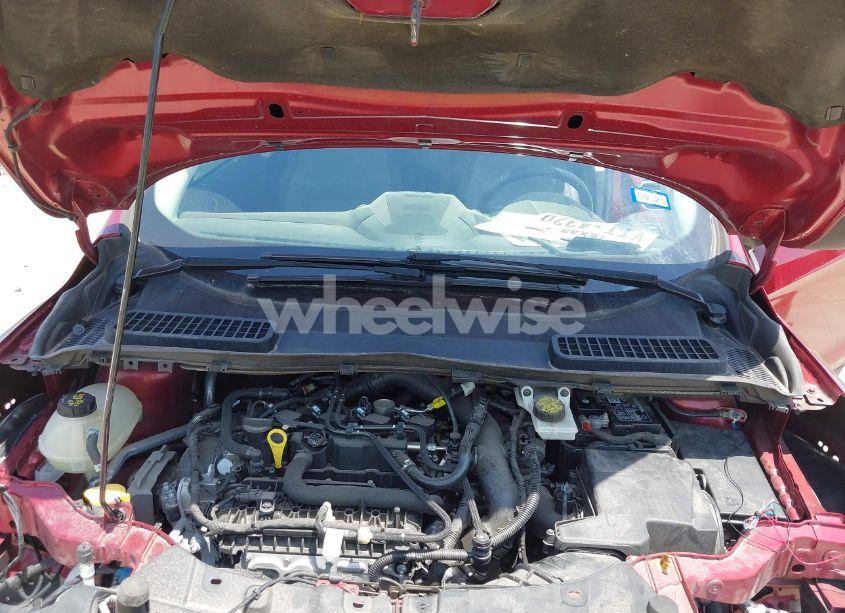 Photo 10 of 2019 Ford Escape SE (VIN 1FMCU0GD1KUA17486)