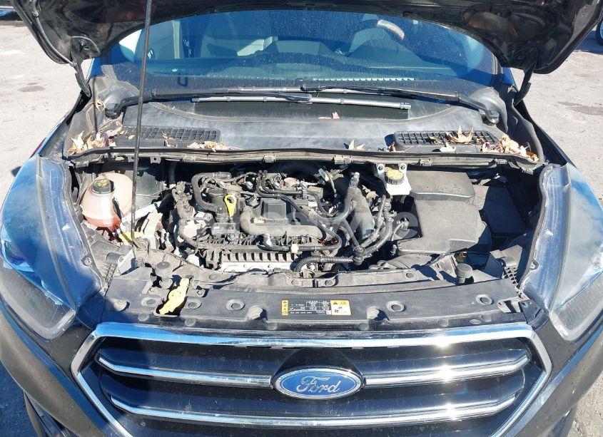 Photo 10 of 2019 Ford Escape SE (VIN 1FMCU0GD1KUB46179)