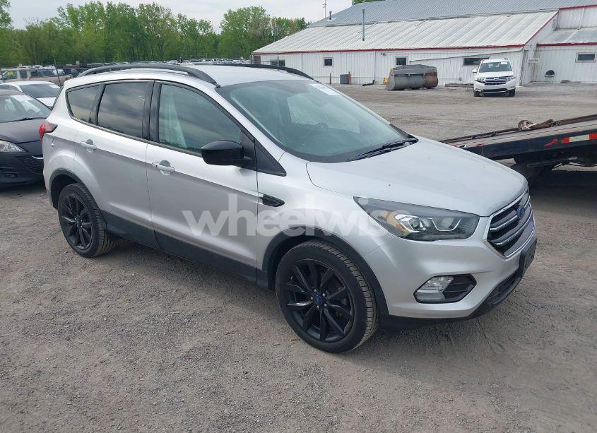 2019 Ford Escape SE (VIN 1FMCU0GD1KUB64049) main photo