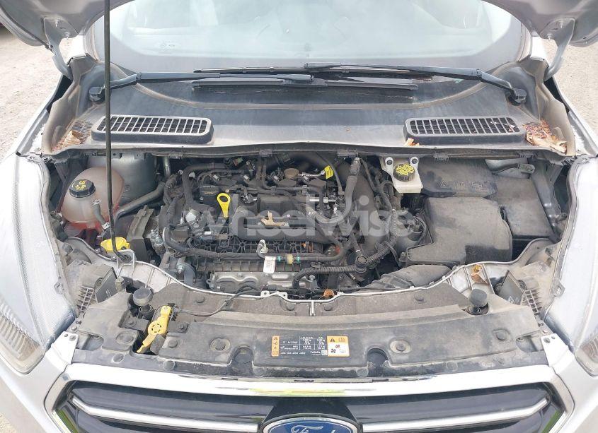 Photo 10 of 2019 Ford Escape SE (VIN 1FMCU0GD1KUB64049)