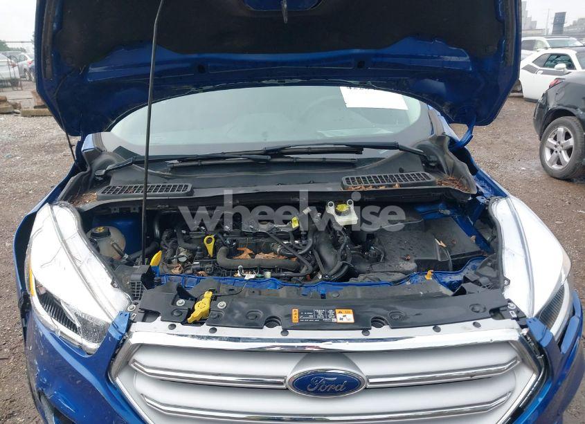 Photo 10 of 2019 Ford Escape SE (VIN 1FMCU0GD1KUB77058)