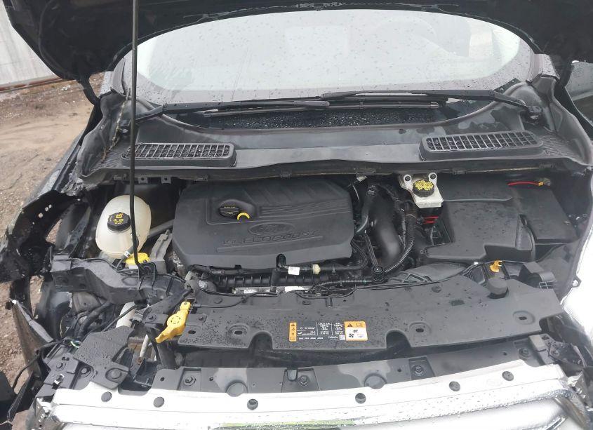 Photo 10 of 2017 Ford Escape SE (VIN 1FMCU0GD2HUB14592)