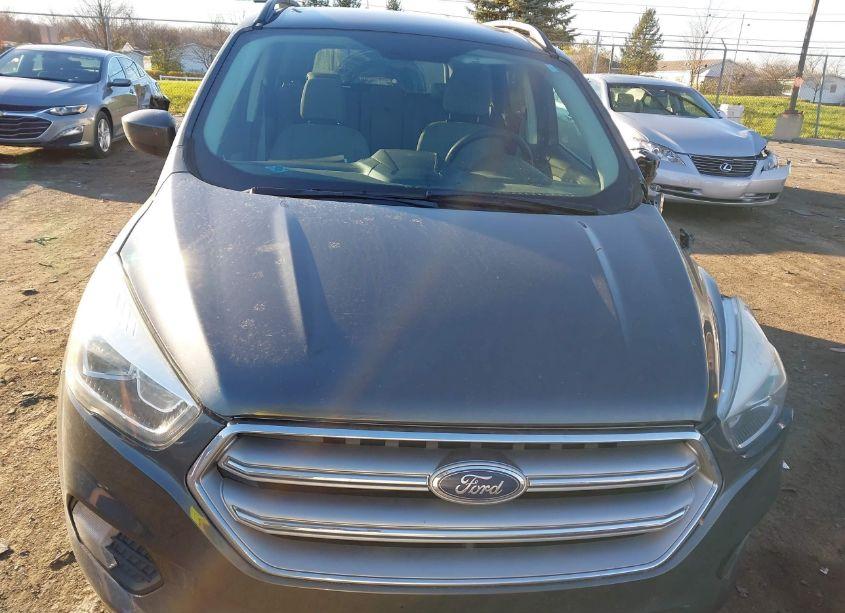 Photo 12 of 2017 Ford Escape SE (VIN 1FMCU0GD2HUD09267)