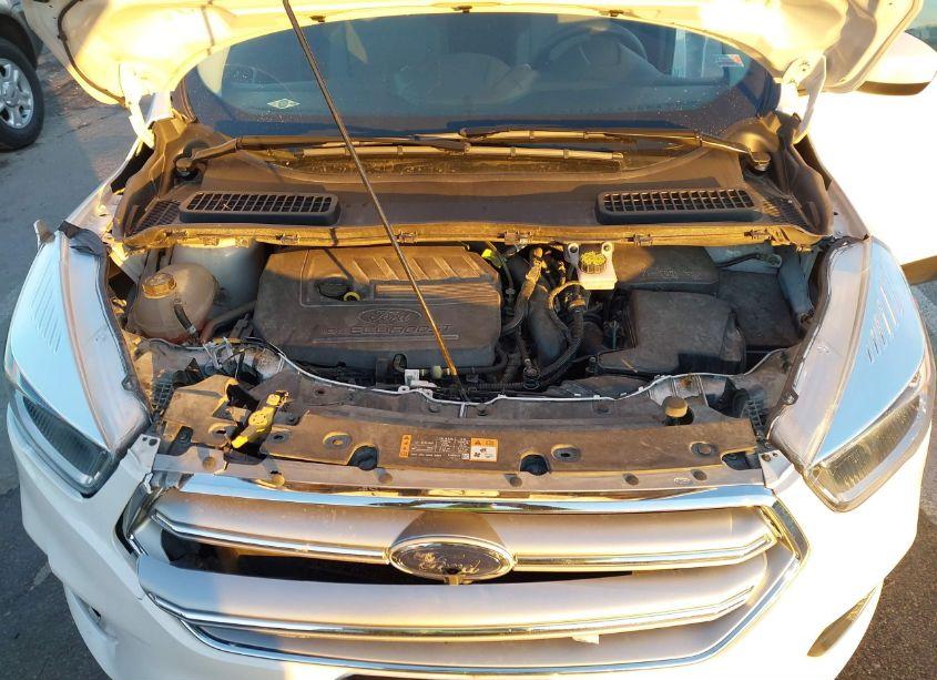 Photo 10 of 2017 Ford Escape SE (VIN 1FMCU0GD2HUE23639)