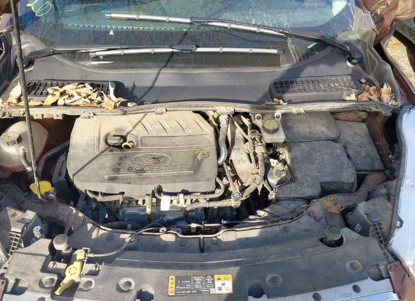 Photo 10 of 2017 Ford Escape SE (VIN 1FMCU0GD2HUE69259)