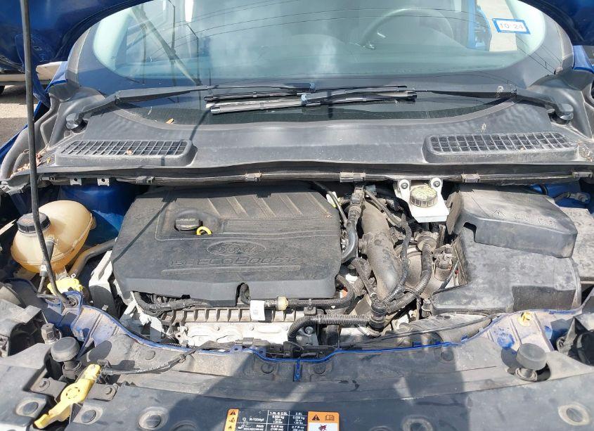 Photo 10 of 2018 Ford Escape SE (VIN 1FMCU0GD2JUB28370)