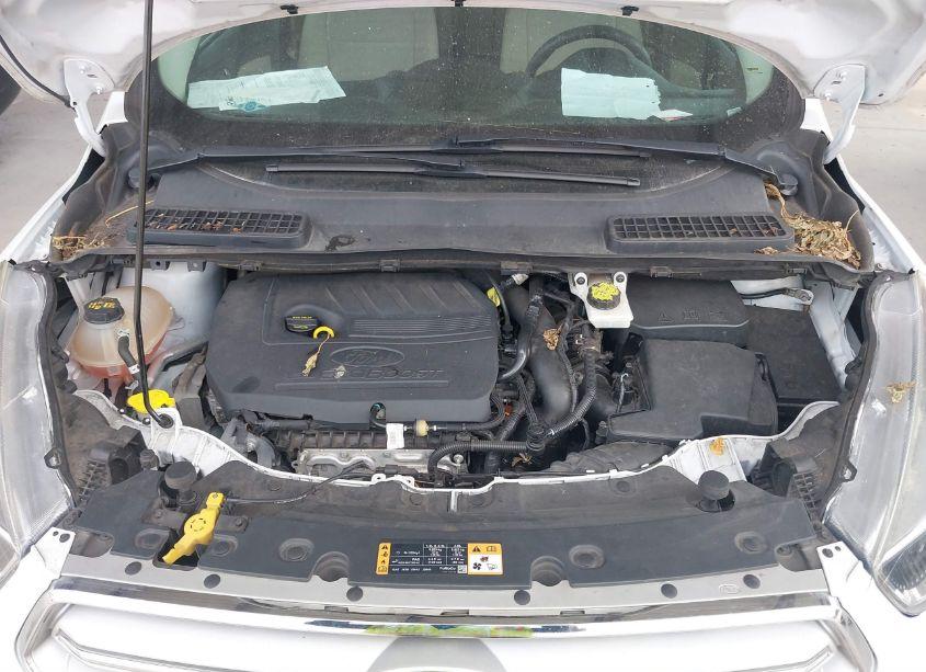 Photo 10 of 2018 Ford Escape SE (VIN 1FMCU0GD2JUC61288)