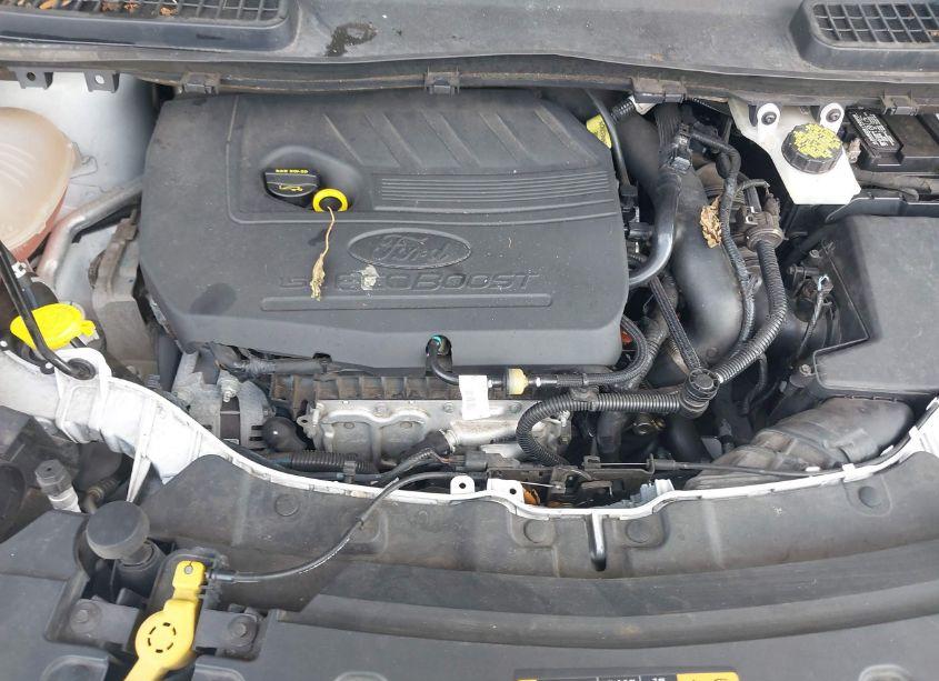 Photo 6 of 2018 Ford Escape SE (VIN 1FMCU0GD2JUC61288)