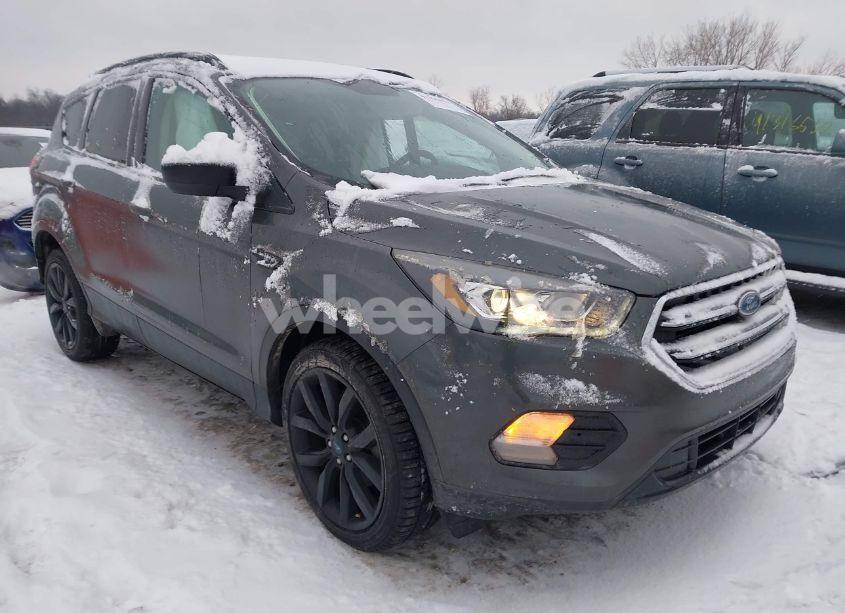 2019 Ford Escape SE (VIN 1FMCU0GD2KUA38329) main photo