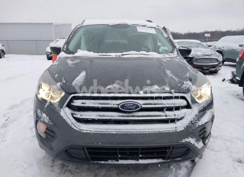 Photo 12 of 2019 Ford Escape SE (VIN 1FMCU0GD2KUA38329)