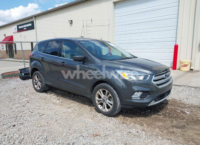 2019 Ford Escape SE (VIN 1FMCU0GD2KUB38690) main photo