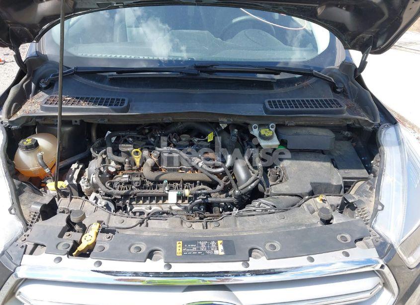 Photo 10 of 2019 Ford Escape SE (VIN 1FMCU0GD2KUB38690)