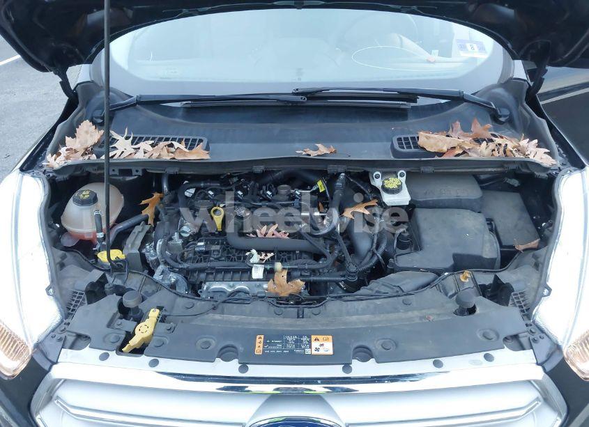 Photo 10 of 2019 Ford Escape SE (VIN 1FMCU0GD2KUB43680)