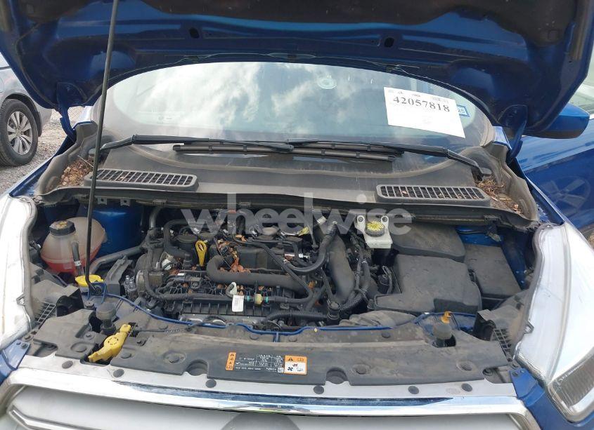 Photo 10 of 2019 Ford Escape SE (VIN 1FMCU0GD2KUB49611)