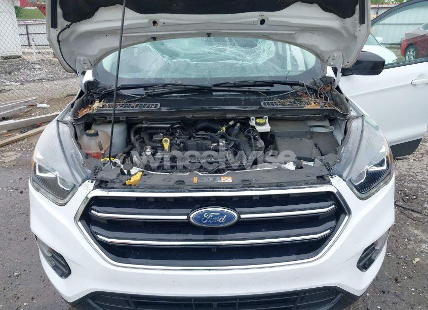 Photo 10 of 2019 Ford Escape SE (VIN 1FMCU0GD2KUC46050)