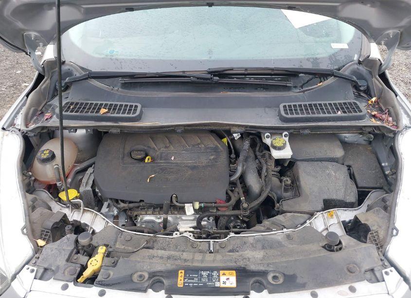 Photo 10 of 2017 Ford Escape SE (VIN 1FMCU0GD3HUB30543)