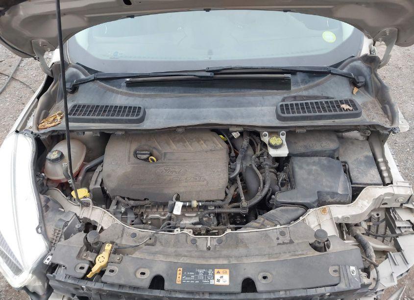 Photo 10 of 2017 Ford Escape SE (VIN 1FMCU0GD3HUB99894)