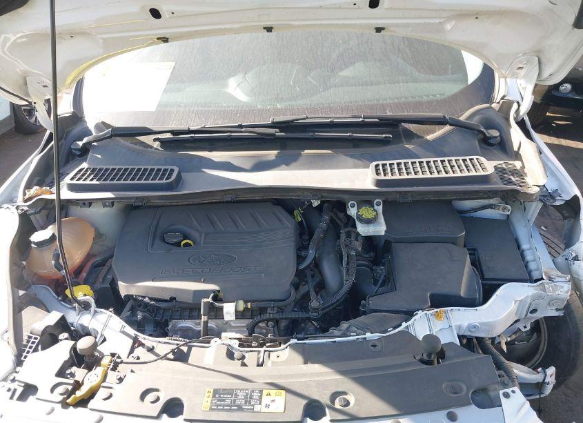 Photo 10 of 2017 Ford Escape SE (VIN 1FMCU0GD3HUD42424)