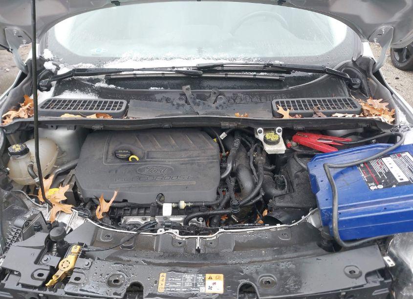 Photo 10 of 2017 Ford Escape SE (VIN 1FMCU0GD3HUE05361)