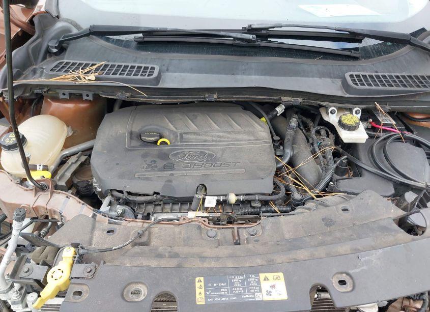 Photo 10 of 2017 Ford Escape SE (VIN 1FMCU0GD3HUE65107)