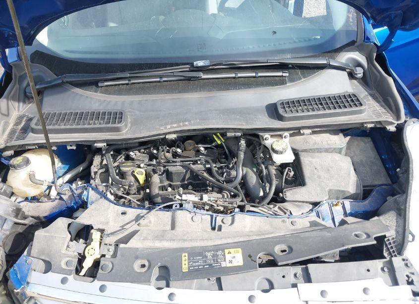 Photo 10 of 2017 Ford Escape SE (VIN 1FMCU0GD3HUE88211)