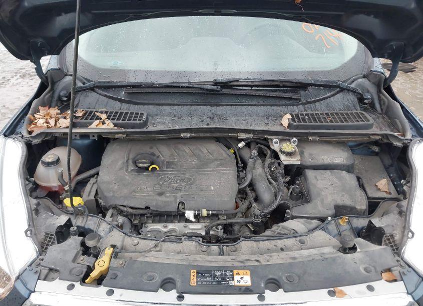 Photo 10 of 2018 Ford Escape SE (VIN 1FMCU0GD3JUC85714)