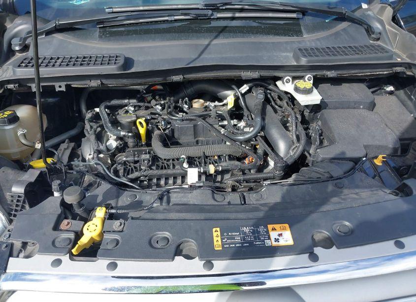 Photo 10 of 2019 Ford Escape SE (VIN 1FMCU0GD3KUA51431)