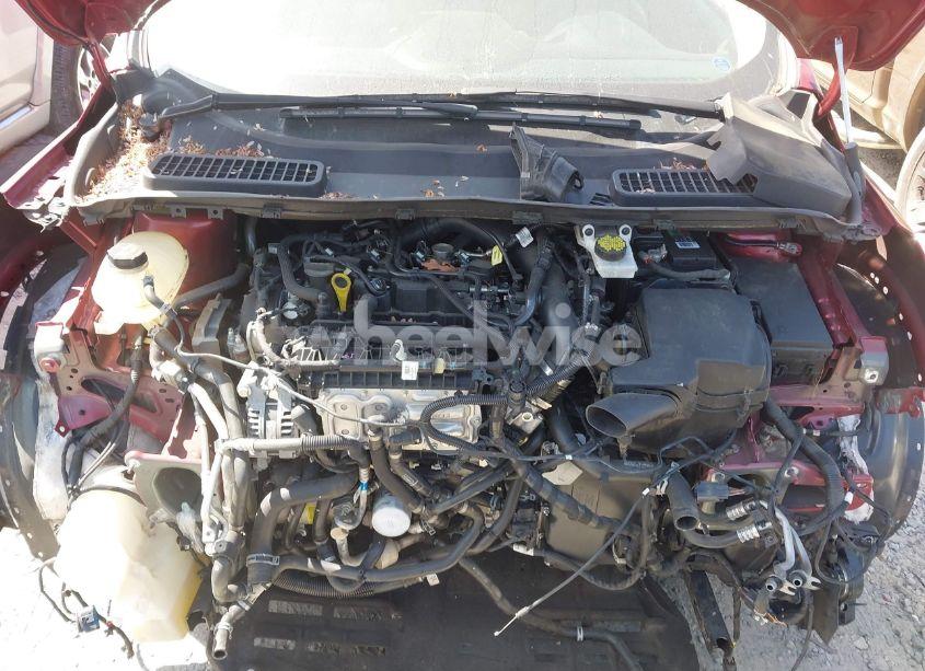 Photo 10 of 2019 Ford Escape SE (VIN 1FMCU0GD3KUA58413)