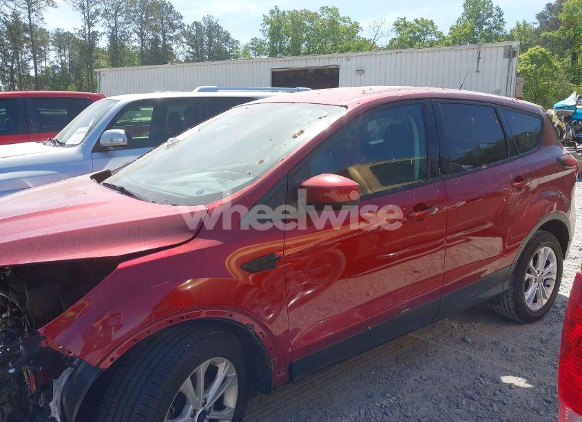 Photo 14 of 2019 Ford Escape SE (VIN 1FMCU0GD3KUA58413)