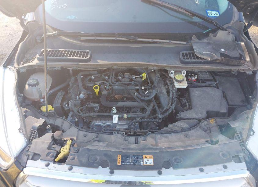 Photo 10 of 2019 Ford Escape SE (VIN 1FMCU0GD3KUA62414)