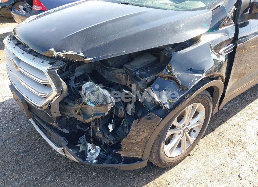 Photo 6 of 2019 Ford Escape SE (VIN 1FMCU0GD3KUB32719)