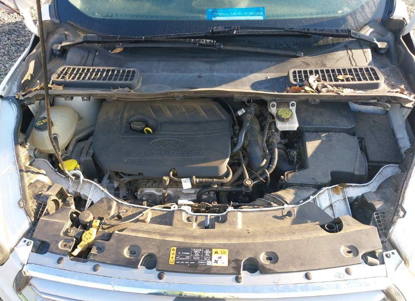 Photo 10 of 2017 Ford Escape SE (VIN 1FMCU0GD4HUA99268)