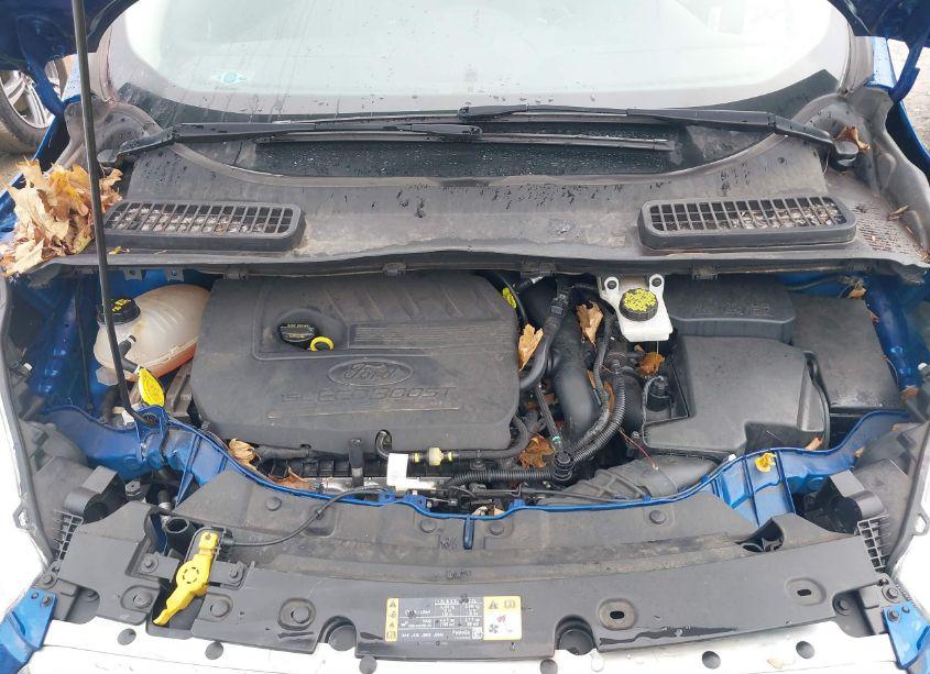 Photo 10 of 2017 Ford Escape SE (VIN 1FMCU0GD4HUC63800)