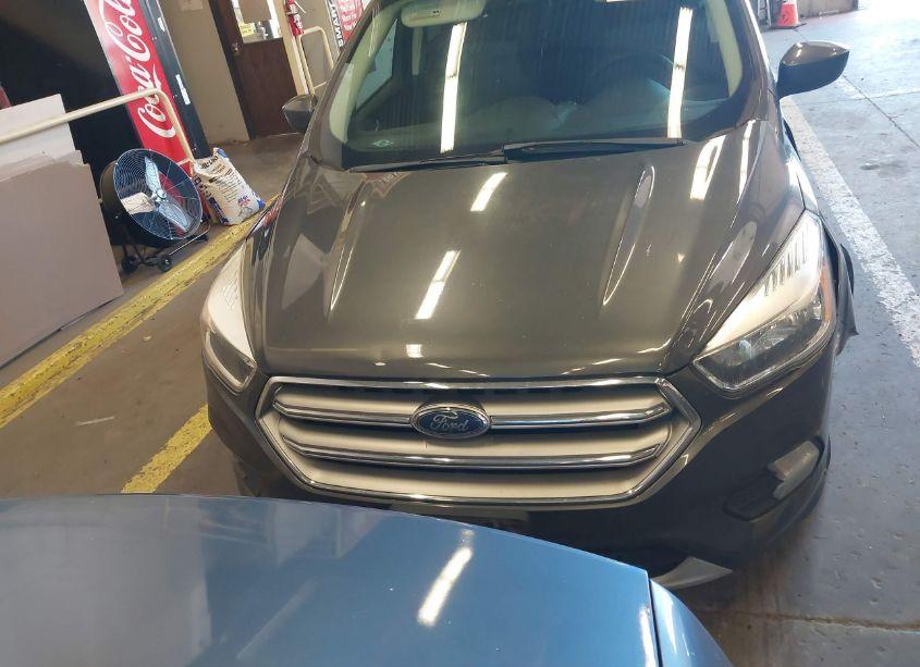 Photo 12 of 2017 Ford Escape SE (VIN 1FMCU0GD4HUC81049)