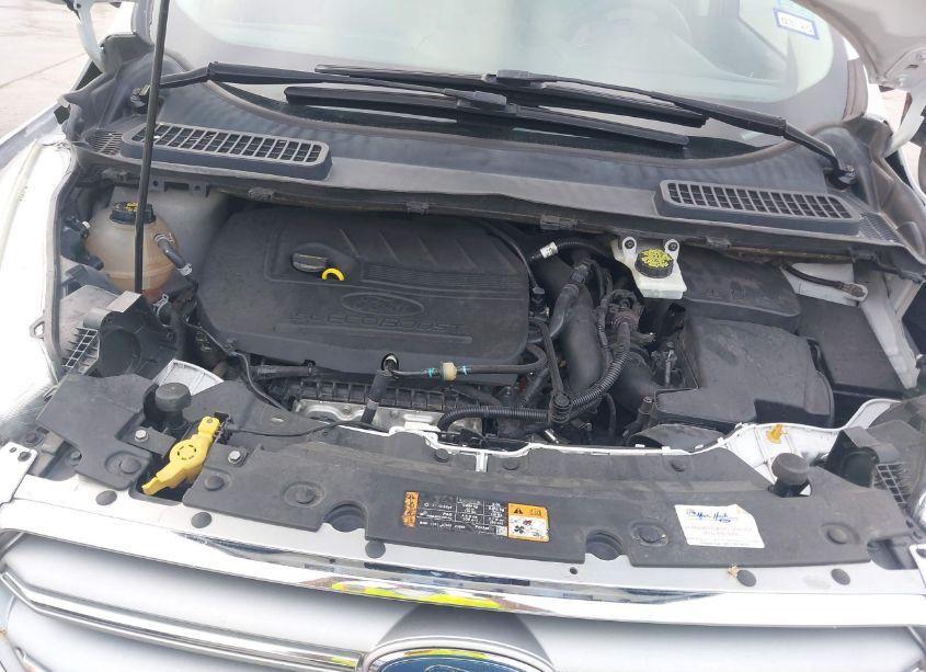 Photo 10 of 2017 Ford Escape SE (VIN 1FMCU0GD4HUC81830)