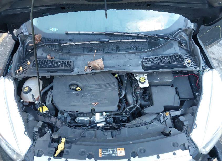 Photo 10 of 2017 Ford Escape SE (VIN 1FMCU0GD4HUE93272)