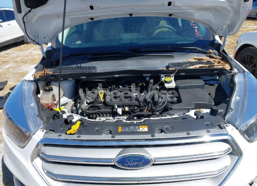 Photo 10 of 2019 Ford Escape SE (VIN 1FMCU0GD4KUA12489)